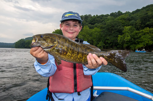 Summer River Smallies on the New River - Walker Creek Retreat