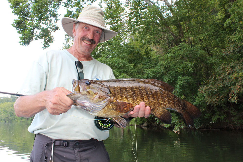 big-bug-fish