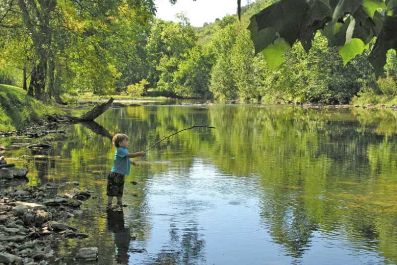 Walker Creek